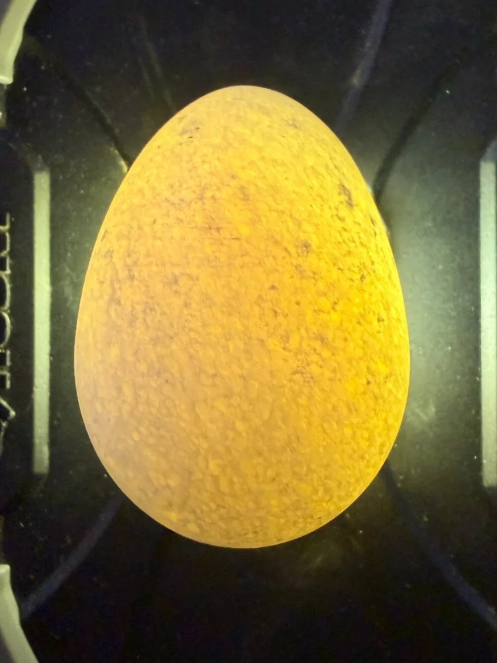 Vtg Snow Quartz Stone Egg Wooden Stand Natural Milky White Translucent 2.5